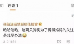 读心吃瓜娱乐圈系统txt,娱乐圈系统TXT深度解析