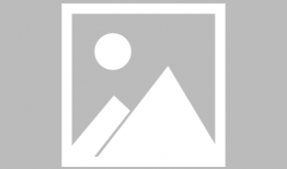 直播中说的91是什么,91背后的秘密与影响