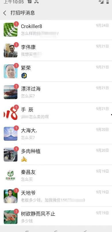 日批视频网站,热门内容盘点与趋势分析